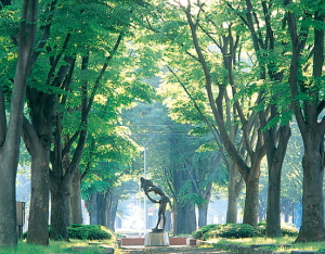 Jozenji-dori Avenue